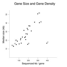 Gene Size and Gene Density
