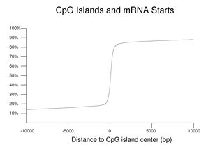 CpG Islands and mRNA Starts