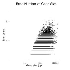 Exon Count vs Gene Size