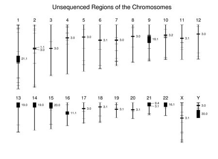 Unsequenced Regions of the Chromosomes