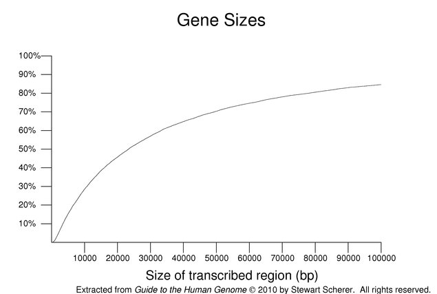 Human Gene Structure