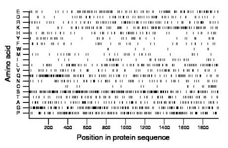 amino acid map