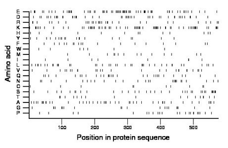 amino acid map