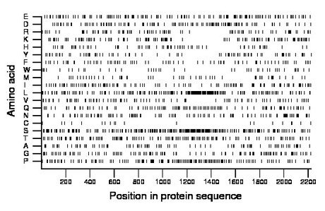 amino acid map