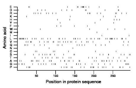 amino acid map
