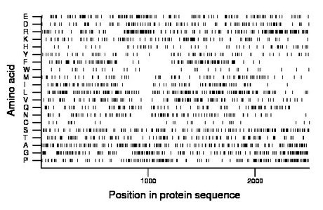 amino acid map