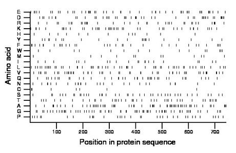 amino acid map