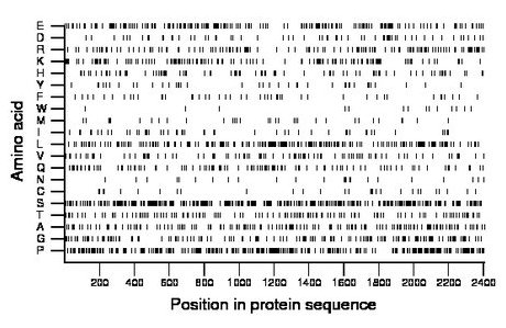 amino acid map