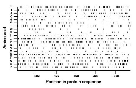 amino acid map