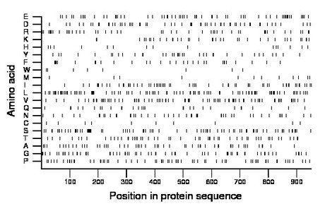 amino acid map