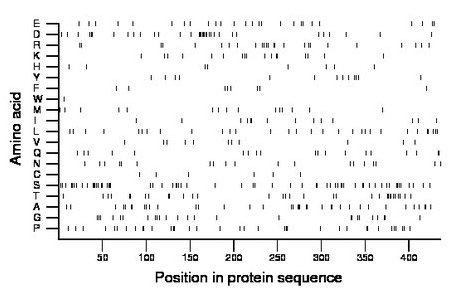 amino acid map