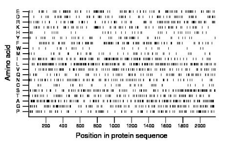 amino acid map