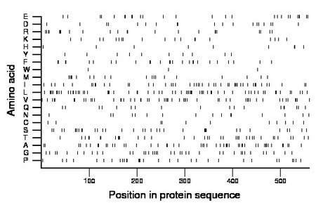 amino acid map