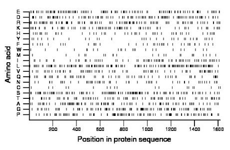 amino acid map