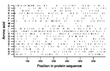 amino acid map