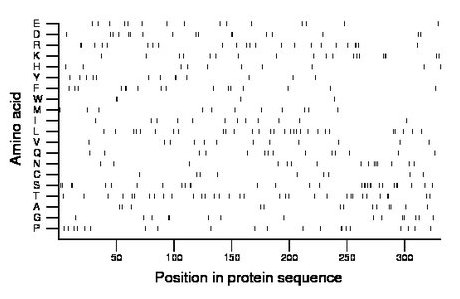amino acid map