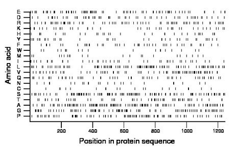 amino acid map
