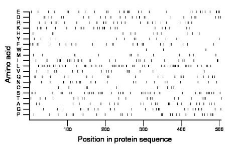 amino acid map