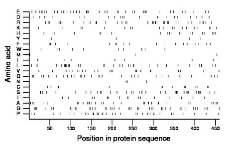 amino acid map
