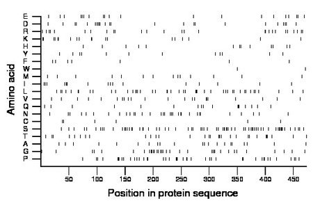 amino acid map