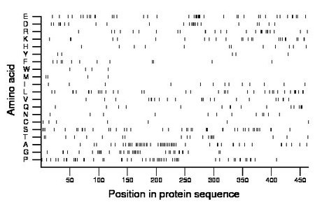 amino acid map