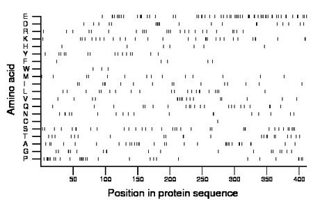 amino acid map