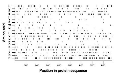 amino acid map