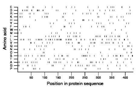 amino acid map
