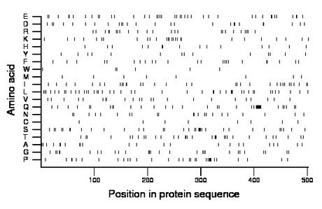 amino acid map