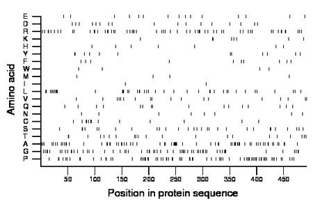 amino acid map