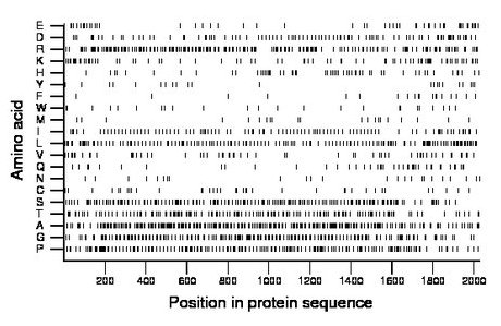 amino acid map