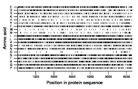 amino acid map