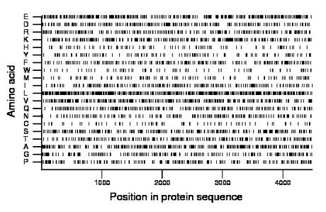 amino acid map