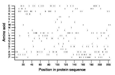 amino acid map
