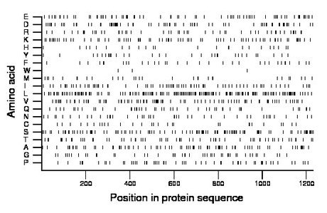 amino acid map