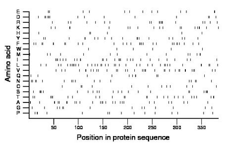 amino acid map