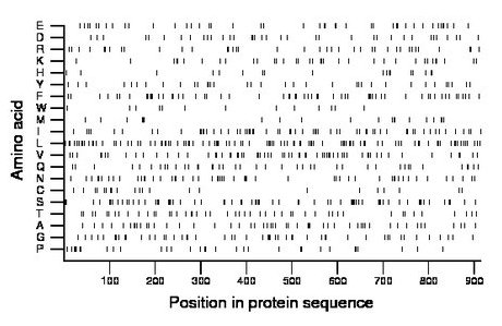 amino acid map