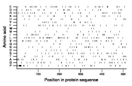 amino acid map