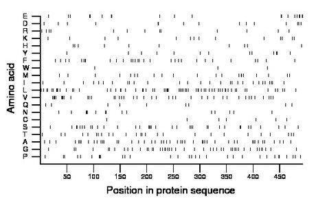 amino acid map