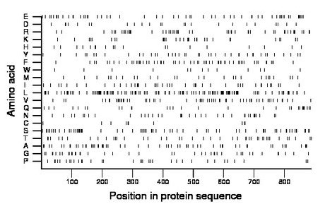 amino acid map
