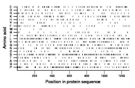amino acid map