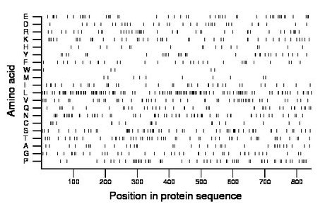 amino acid map