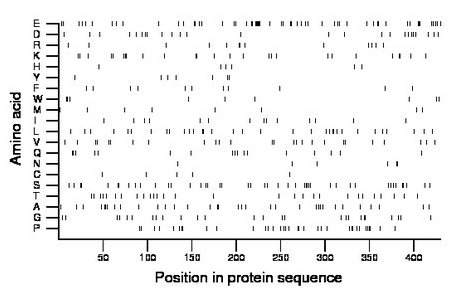 amino acid map
