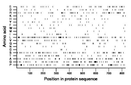amino acid map