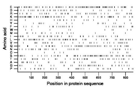 amino acid map