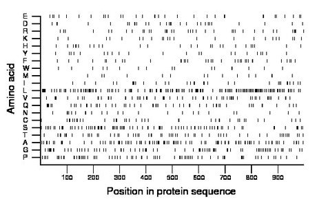 amino acid map