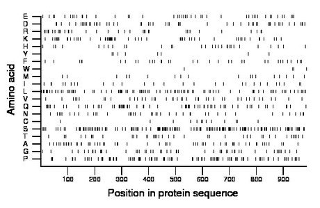 amino acid map