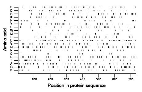 amino acid map