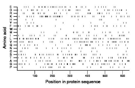 amino acid map