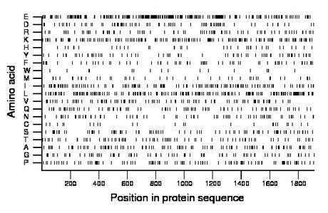 amino acid map